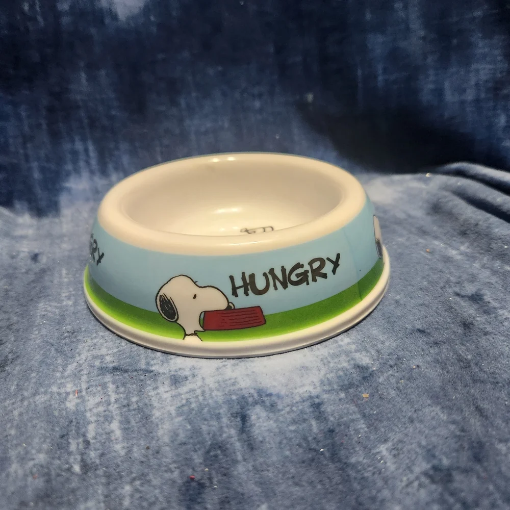 Blue and Green Dog Bowl
